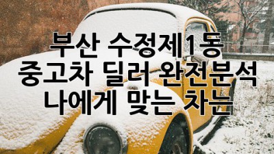 부산 수정제1동 중고차 딜러 완전분석 🚗 나에게 맞는 차는?
