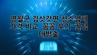 영월군 김삿갓면 청소업체 가격 비교! ✨ 꼼꼼 후기 & 꿀팁 대방출!