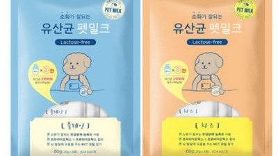 댕냥이 꿀피부 비결? 네츄럴코어 유산균 펫밀크 후기🥛✨