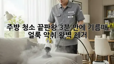 주방 청소 끝판왕: 3분 만에 기름때, 얼룩, 악취 완벽 제거!